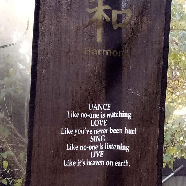 Shkodër Culinary & Wellness Experience  Hidden Gems - Why This Tour Works Well for Different Travelers