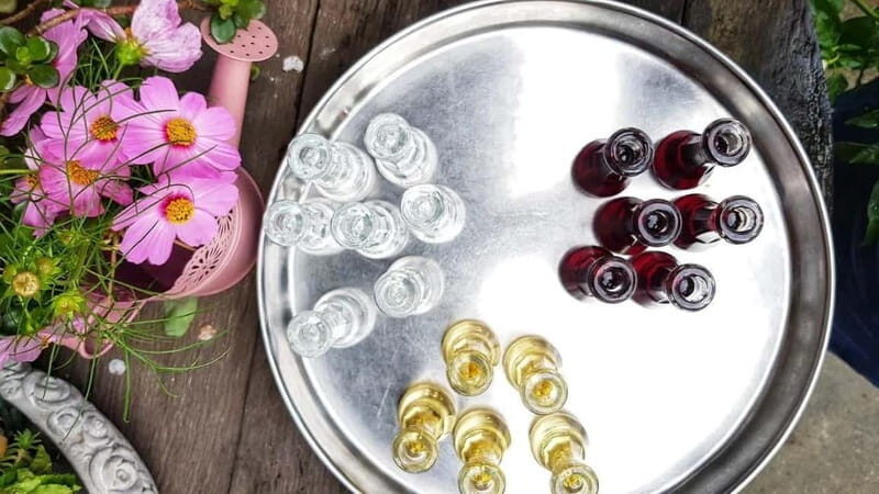 Shkodra: Walking Tour with Traditional Dinner - Practical Details and Tips