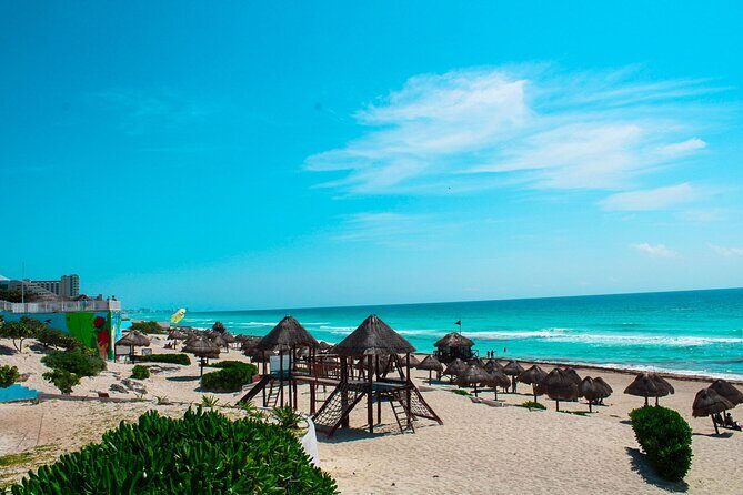 Shopping and Food Private Urban Tour - Who Is This Tour Best Suited For?