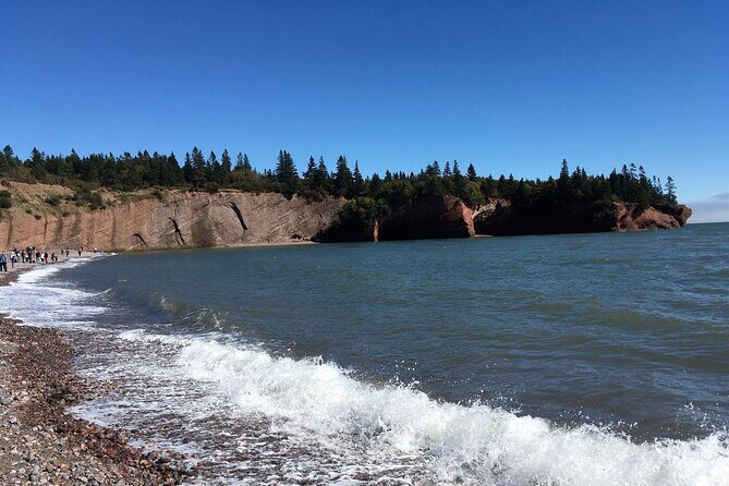 Shore and Hopewell Rocks Guided Tour - Exploring the Itinerary: What You Can Expect