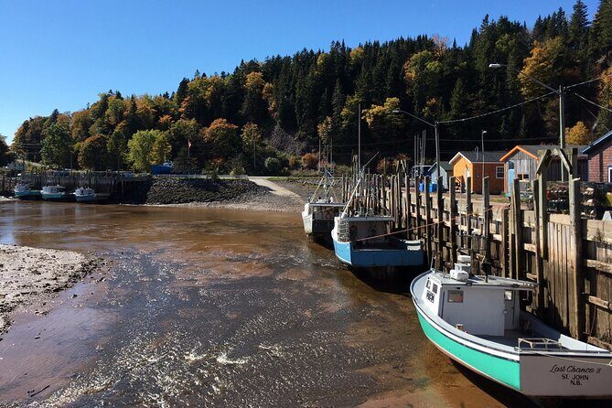 Shore and Hopewell Rocks Guided Tour - FAQs
