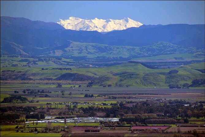 Shore Excursion: 4-Hour Discover Hawkes Bay and Napier Tour - Who Should Consider This Tour?