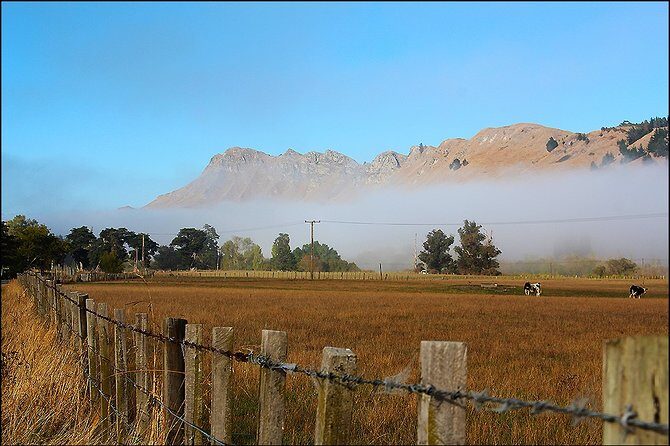 Shore Excursion: 4-Hour Discover Hawkes Bay and Napier Tour - FAQs