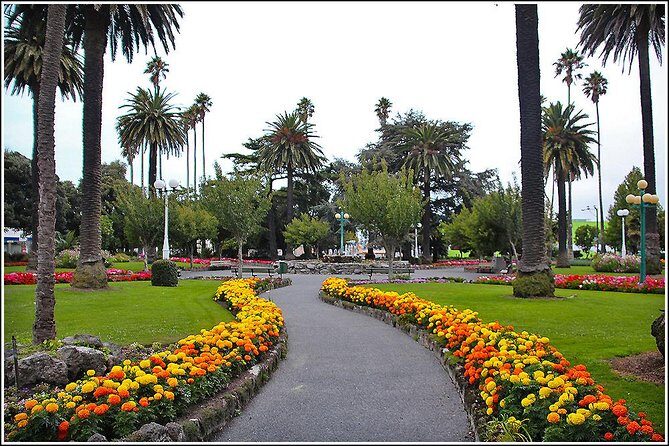 Shore Excursion: 4-Hour Discover Hawkes Bay and Napier Tour - Final Thoughts