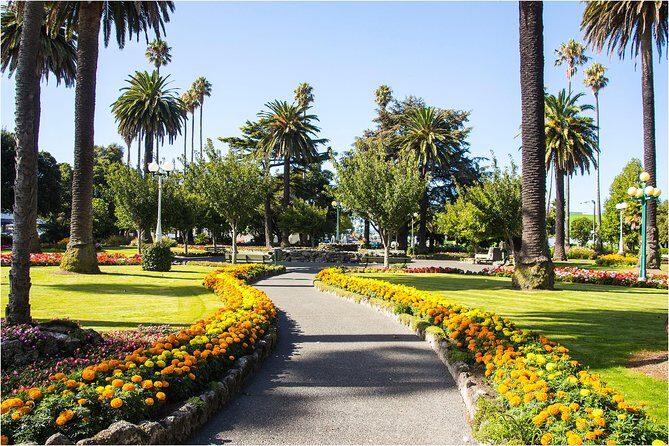 Shore Excursion: 4 Hour Premium Hawke's Bay, Napier Art deco Tour - Transportation, Group Size, and Overall Value