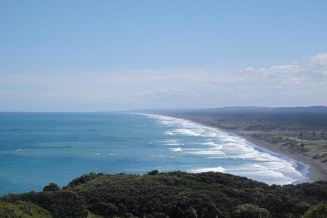 Shore Excursion: Auckland Scenic Full Day Tour - 8 Hours - Practical Tips for Travelers