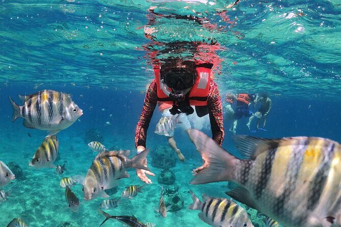 Shore Excursion: Clear Boat Ride, Snorkel & Drinks - Final Thoughts