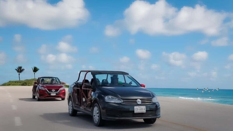 Shore Excursion: Cozumel Island Buggy Tour & Beach Visit - Why Choose This Tour?