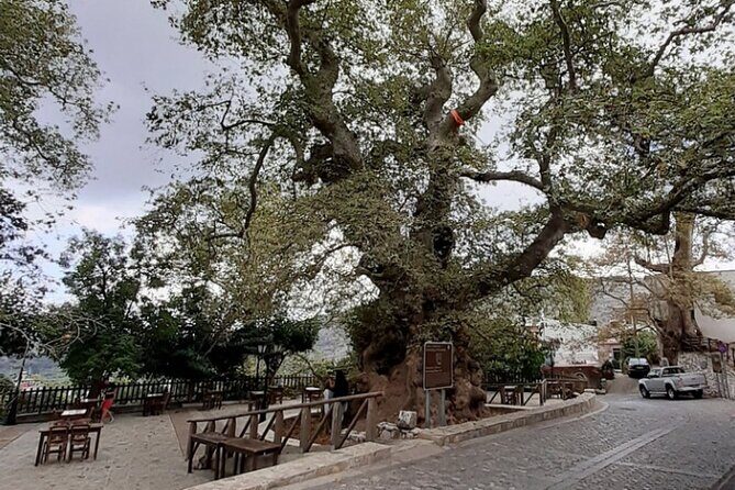 Shore Excursion Crete, Cave of Zeus, Palace of Knossos & Villages - FAQ