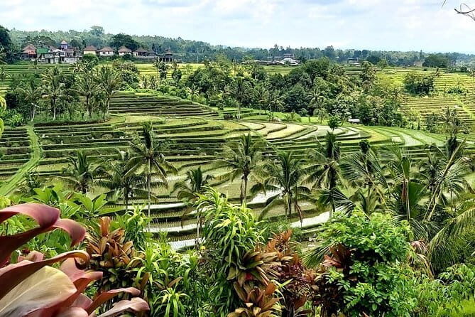 Shore Excursion Cruise Ship from Benoa and Celukan Bawang Port - FAQs