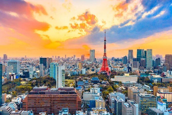 Shore Excursion: Day Trip To Tokyo From Yokohama Port - Who Is This Tour Best Suited For?