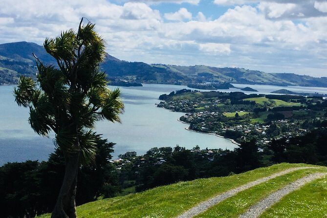 Shore Excursion: Dunedin City, Otago Peninsula, Castle Gardens & Olveston Tour - Exploring Dunedin in a Nutshell