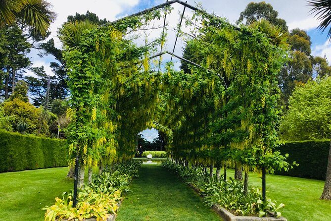 Shore Excursion: Dunedin City, Otago Peninsula, Castle Gardens & Olveston Tour - Summary of the Experience