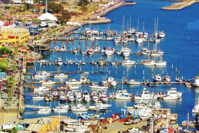 Shore Excursion Ensenada: Tuk Tuk and Horseback Beach Ride - FAQ