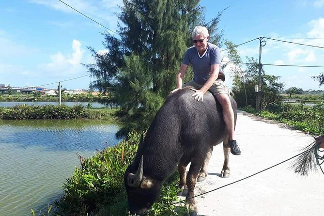 Shore Excursion from CHAN MAY or TIEN SA port to HOI AN COUNTRYSIDE &HOI AN CITY - The Sum Up: Who Is This Tour Best For?