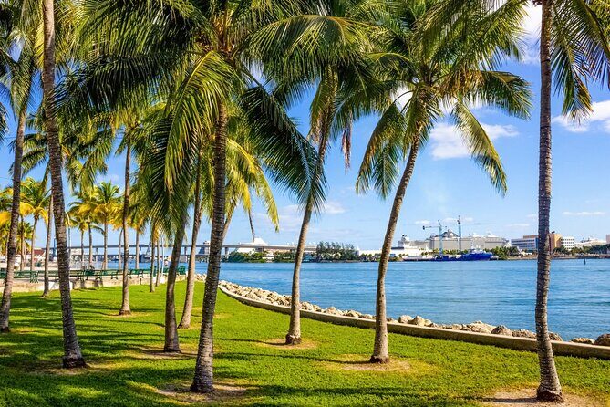 Shore Excursion from Port of Miami City and Cruise Tour - Who Is This Tour Best Suited For?