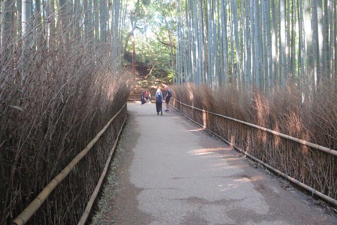Shore excursion: Full Day Private Kyoto Tour From Osaka/Kobe Port - Final Thoughts