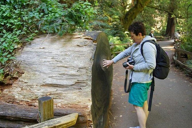 Shore Excursion: Guided Tour to Muir Woods with Roundtrip Journey - The Detailed Experience