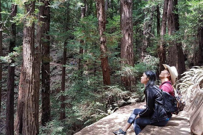 Shore Excursion: Guided Tour to Muir Woods with Roundtrip Journey - Final Thoughts: Is This Tour Right for You?