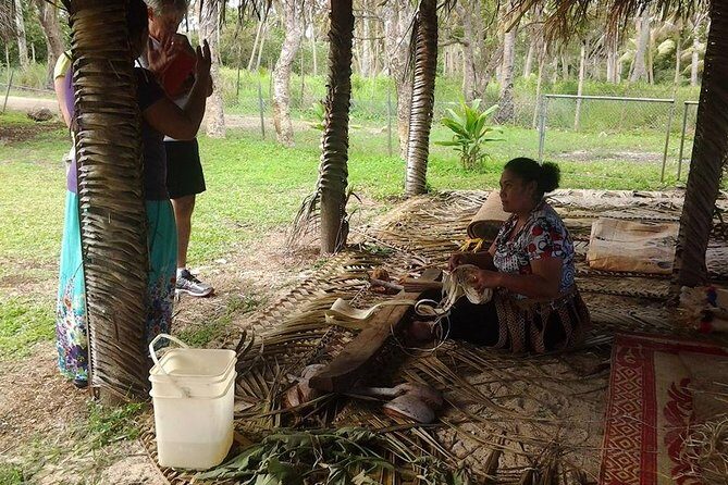 Shore Excursion: Half-Day Anahulu Cave and Cultural Tour - The Sum Up: Who Will Love This Tour?