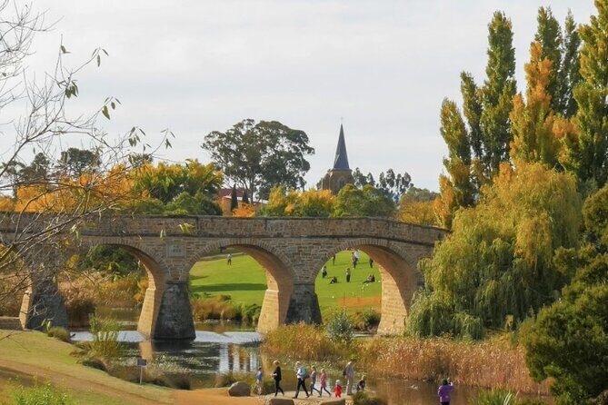 Shore Excursion: Hobart Highlights Day Tour - Key Points