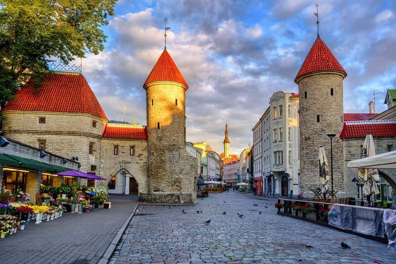Shore Excursion in Tallinn - Who Will Love This Tour?