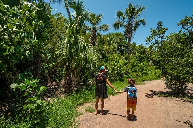 Shore Excursion Mazunte and Ventanilla Crocs & Turtles - The Sum Up: Is This Tour Right for You?