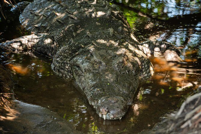 Shore Excursion Mazunte and Ventanilla Crocs & Turtles - FAQs
