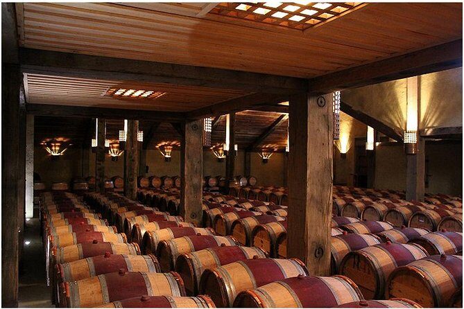 Shore Excursion: Napier/ Hawke's Bay & Premium Wineries tour - An In-Depth Look at the Napier/Hawke’s Bay & Premium Wineries Tour