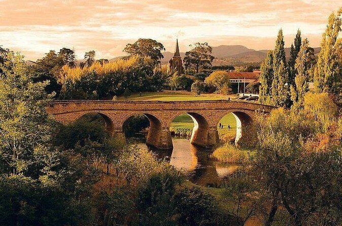 Shore Excursion - nipaluna (Hobart) Highlights - Final Thoughts