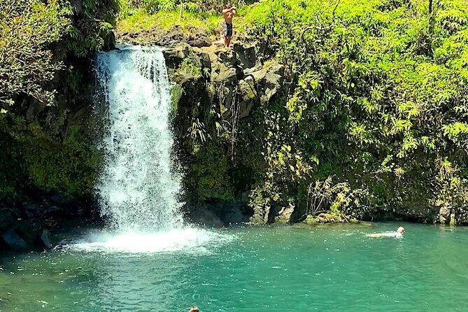 Shore Excursion of Maui - Pricing and Value