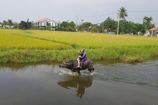 SHORE EXCURSION TIEN SA or CHAN MAY port to HOI AN COUNTRYSIDE plus FOOT MASSAGE - Who Will Love This Tour
