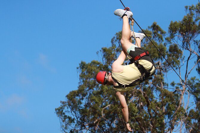 Shore Excursion Zipline Tour for Pride Of America Passengers - FAQ