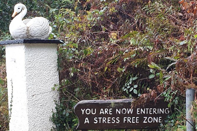 SHORE EXCURSIONS BELFAST / up to 5 tours in 1 day from CRUISE SHIP @ MICKS TOURS - What Makes This Tour Stand Out?