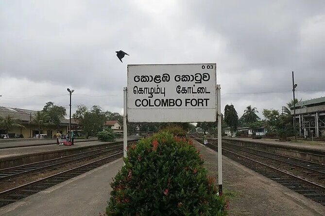 Shore Excursions Colombo Highlights Group Tours from Colombo Port - FAQs
