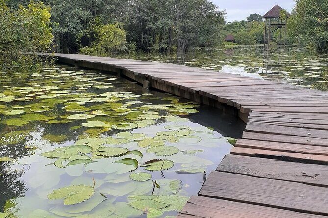 Shore Excursions Port Passenger Terminal to Colombo Wetland Tour. - Is This Tour Right for You?