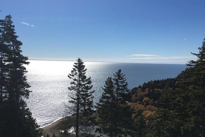 Shore Tours - The Sum Up