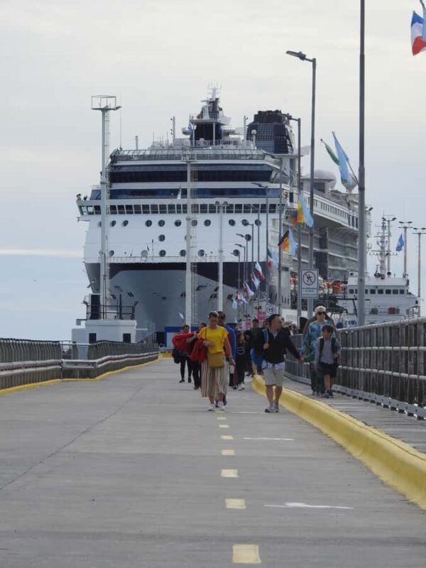 Shore Tours Peninsula Valdes Puerto Madryn Cruise Passengers - Key Points