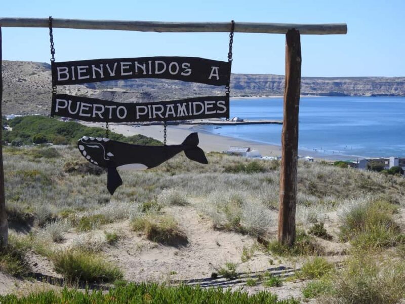 Shore Tours Peninsula Valdes Puerto Madryn Cruise Passengers - Why Choose This Tour?