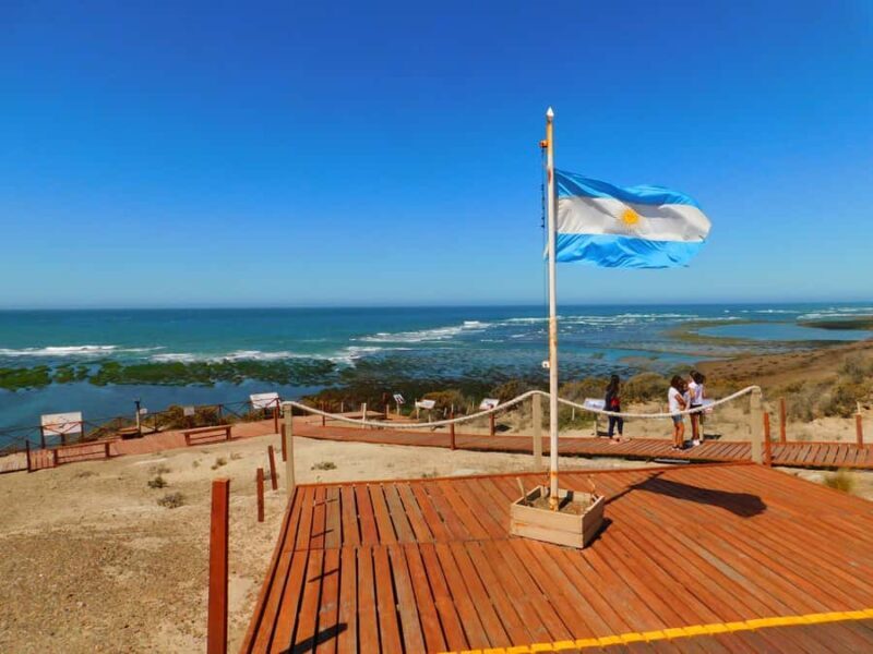 Shore Tours Peninsula Valdes Puerto Madryn Cruise Passengers - What Youll See and Experience