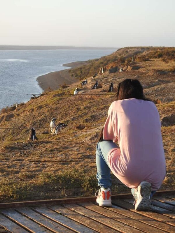 Shore Tours Peninsula Valdes Puerto Madryn Cruise Passengers - Reviews and Feedback