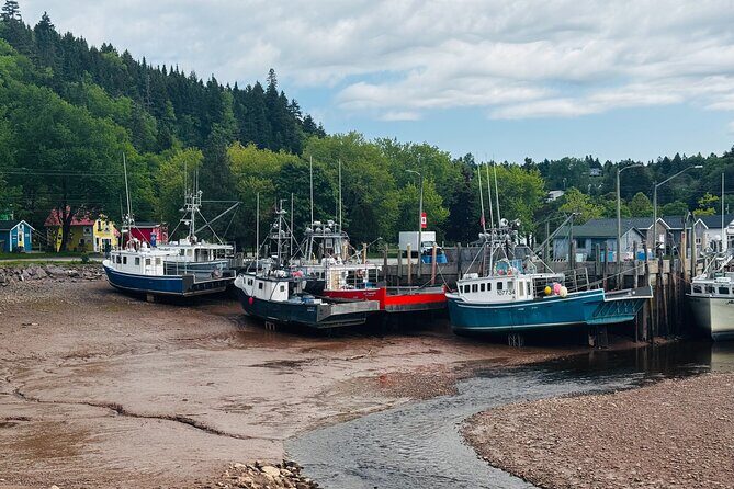 Shore Tours Saint John - Final Thoughts