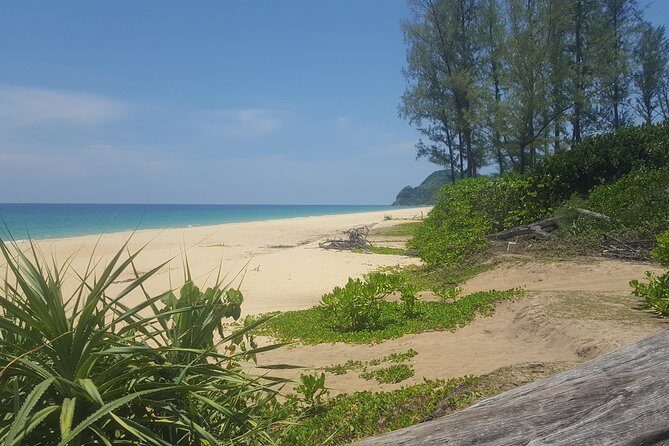 Shoreline Cruise and Secluded Beach - The Itinerary in Detail