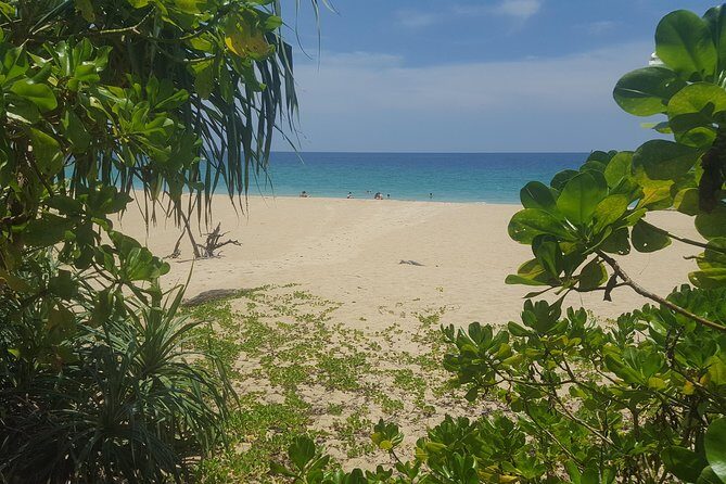 Shoreline Cruise and Secluded Beach - Why This Tour is a Great Choice