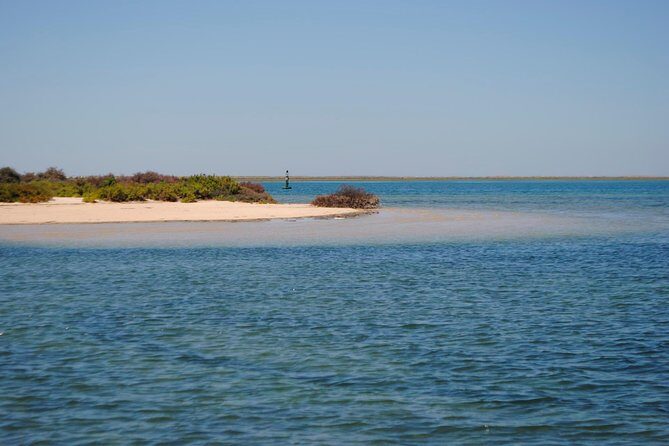 Short boat trip of the Algarve's Ria Formosa lagoon from Faro: 1 hour - Final Thoughts