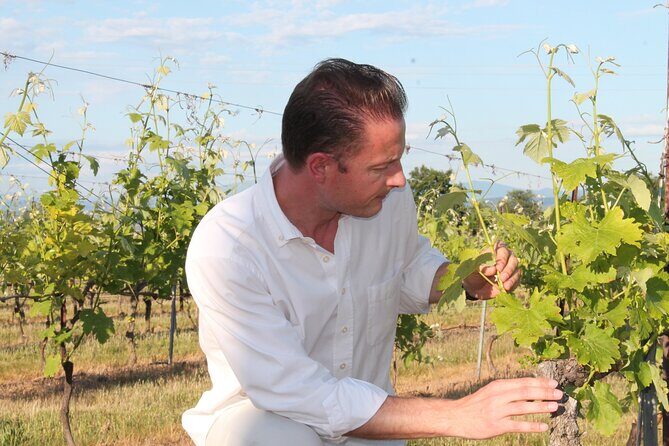 Short Day Tour around Aix en Provence and Wine Tasting - Who Will Love This Tour?