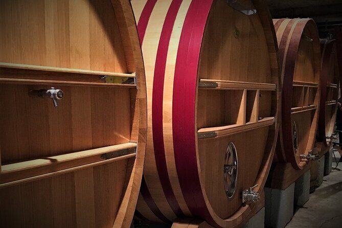 Short Day Tour around Aix en Provence and Wine Tasting - Final Thoughts