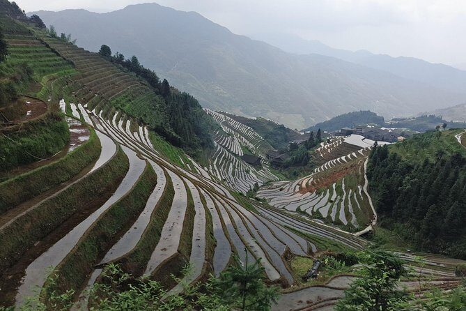Short Li-River cruise and Longji Rice Terraces Private Day Tour - FAQ
