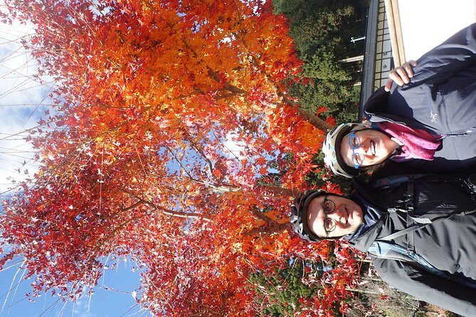 Short Morning Cycling Tour in Hida - A Detailed Look at the Experience