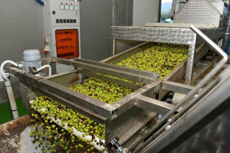 Short Tour of Olympia, an Olive Oil Press & St. Andrew Beach - Final Thoughts